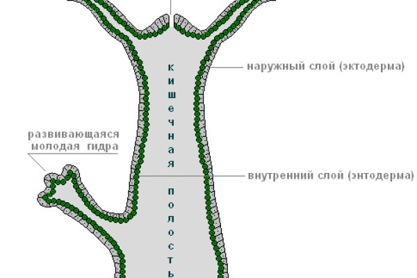 Как купить наркотик в кракен