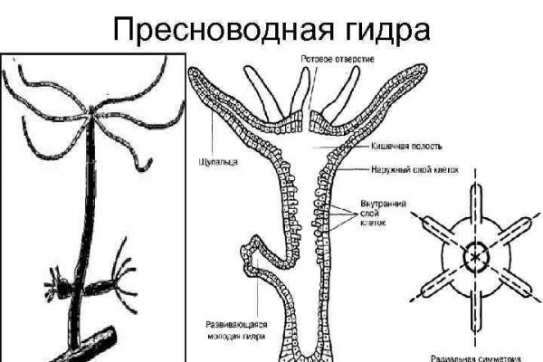 Что такое кракен площадка